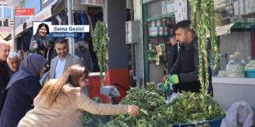 ‘Qîymetê pincaranê ma nêyeno zanayene’