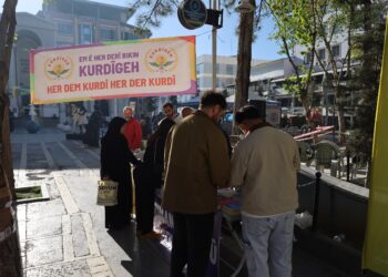 Li Wanê konên ‘Zimanê Kurdî’ hatin vedan