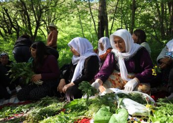 Li Westanê atolyeya ‘Giyayên Şifayê’ hat lidarxistin