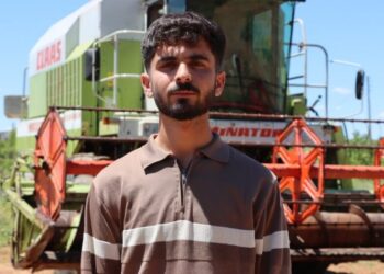 Li Kobanê amadekeriyên çinîna genim