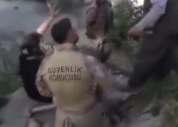 Li Qilebanê cerdevanan tundî li ser 2 jinan pêk anîn