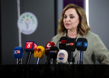 Ayşegul Dogan: Divê desthilat berpirsyariya xwe pêk bîne û gav biaveje