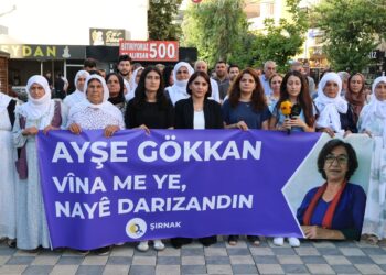 ‘Cezayê li Ayşe Gokkan hatiye birîn êrişeke li dijî vîna jinê ye’