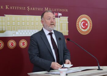 Temellî: Divê demildest şert û mercên azad ên birêz Ocalan pêk werin