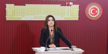 Gulistan Kiliç Koçyîgît: Divê Meclîs demildest berpirsyariya xwe bi cih bîne