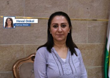 Parlamentara Verên a KKP’yî Hazla Sulîman: Çareserî û garantîyê destkewteyan yewbîyayîşê neteweyî de yo