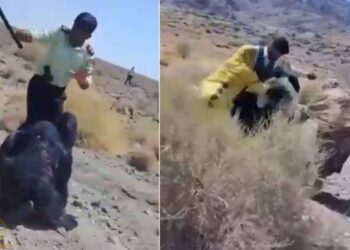 Hêzên rejîma Îranê 7 jinên Belûç birîndar kir û 3 jinan binçav kir