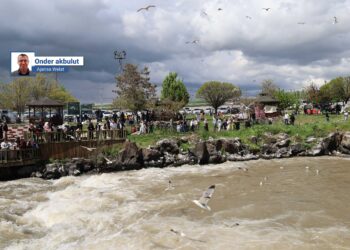Xelk eleqeyek zêde nîşanî rêwîtiya masiyên Gola Wanê dide
