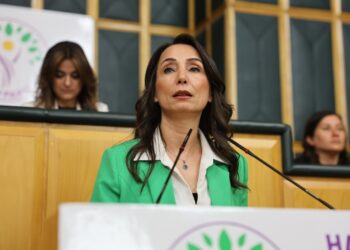 Hatîmogullari: Beriya Meclîs bikeve betlanê divê çarçoveya qanûnî bê amadekirin