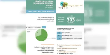 FÎSA: 5 aşman de 303 gedeyî cuya xo ra  bîyê!