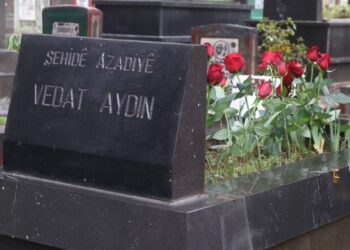 Vedat Aydin ame vîrardene