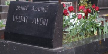 Vedat Aydin ame vîrardene