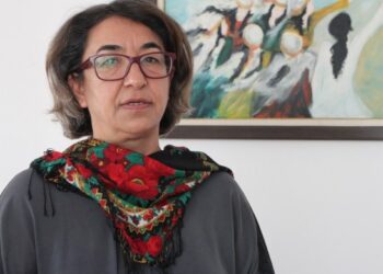Ayse Gokkan: Piştîdayîş hêzê ma yo tewr gird o