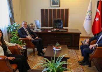 Numan Kurtulmuş Hemserekanê Pêroyî yê DEM Partî reyde kom bi