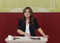 Gulîstan Kiliç Koçyîgît: Do pêşnîyaza qanûnî pêşkêşê heyetê ma bikerê