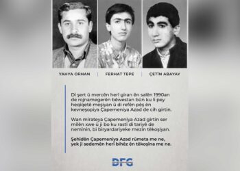 DFGê Yahya Orhan, Ferhat Tepe û Çetîn Abayay bi bîr anî