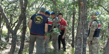 Seba Gulîstan Dokû zaf cayanê Dêrsimî de cigêrayişî dewam kenê