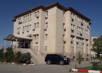 Welatiyê bi lêdanê hatibû binçavkirin hate girtin