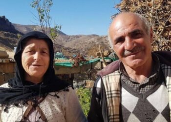 Ji bo doza Şîmonî Dîrîl serlêdana Dadgeha Bingehîn hat kirin