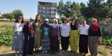 Komuna Çandiniyê ya Jinan projeya çandiyê da destpêkirin