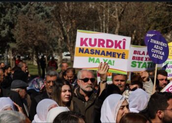 Ziwan û nasname: Keso ke bi ziwanê dayîke qisey nêkeno, kam o?