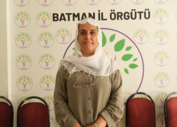 Havva Can: Em ê heta dawiyê bi ser bûyera rehabîlîtasyona Êlihê ve biçin