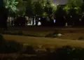 Bav û kur û biraziyê xwe hatin kuştin HATE NÛKIRIN
