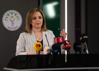 Ayşegul Dogan: Heyetê ma nêeşkeno birêz Ocalanî reyde pêvînayîş bikero