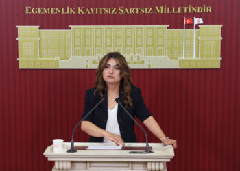 Gulistan Kiliç Koçyîgît: Dê pêşnûmeqanûnê pêşkeşî heyeta me bikin