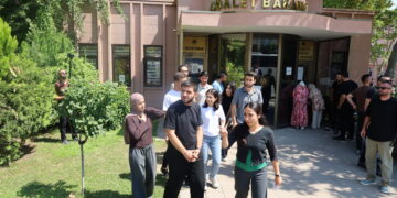 Meclisa Ciwanan a DEM Partiyê ji bo hevdîtina bi Ocalan re serî li Wezaretê Dadê da