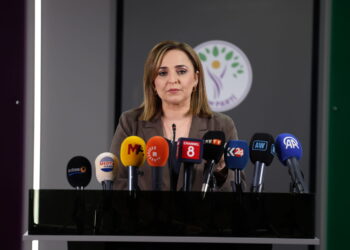 Ayşegul Dogan: Hevserokên me dê serdana partiyên siyasî bikin