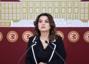 Gulîstan Kiliç Koçyîgît: Seba qanûnê çerçewa muzakereyî dewam kenê