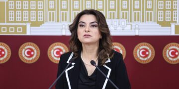 Gulîstan Kiliç Koçyîgît: Seba qanûnê çerçewa muzakereyî dewam kenê