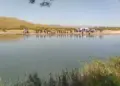 Seba karê mewsîmane Sêwas de bîyê: 1 merd, 1 zî vîndîbîyaye yo