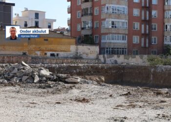 Gelê Wanê: Em lojmanan naxwazin, pêdiviya Wanê bi parkan heye