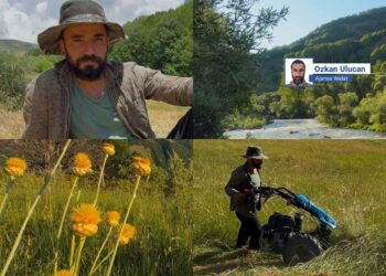 Nêwazena şêrî teber, na dewa ma ya, mezelê ma û rêçê ma estê