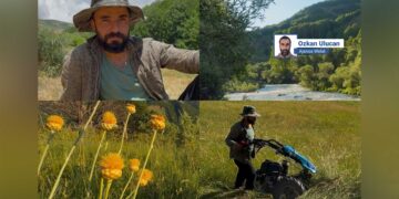Nêwazena şêrî teber, na dewa ma ya, mezelê ma û rêçê ma estê