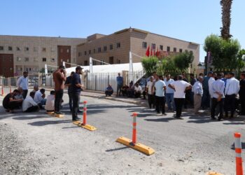 Cotkaran ji ber qutbûna ceyranê heya walitiyê meşiyan