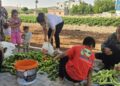 Li Bostanê Jinan ê Hewagê dema berhemdariyê ye