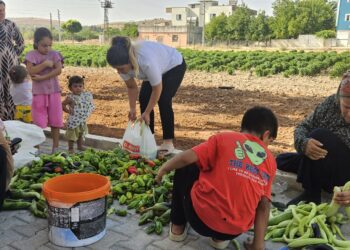 Li Bostanê Jinan ê Hewagê dema berhemdariyê ye