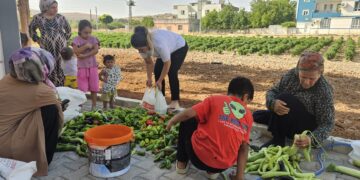 Li Bostanê Jinan ê Hewagê dema berhemdariyê ye
