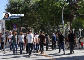 Welatiyên Wanî: Divê statuya Kurdan bê qebûlkirin