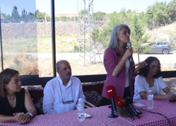Çîgdem Kiliçgun li Semsûrê ye: Divê rê li ber aştiyê bê vekirin