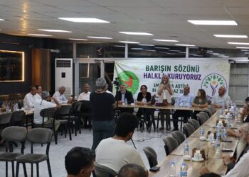 Saziyên sivîl ên Semsûrê: Em ê piştgiriya tam bidin pêvajoyê