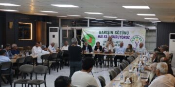 Saziyên sivîl ên Semsûrê: Em ê piştgiriya tam bidin pêvajoyê