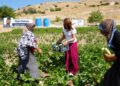 Li Erxeniyê Bostanê Komuna Jinan: Ji bo xurtkirina aboriya jinan e