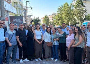 Besiye Ozer piştî 30 salan hate berdan