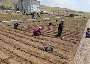 Şaredariya Rêya Armûşê ‘Bostana Bajêr a Jinan a Gundogduyê’ vekir