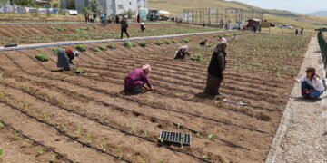 Şaredariya Rêya Armûşê ‘Bostana Bajêr a Jinan a Gundogduyê’ vekir