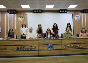 Baroya Wanê ji bo tespîtkirina sedema mirinê daxwaza vekirina gora Rojîn Kabaîş kir